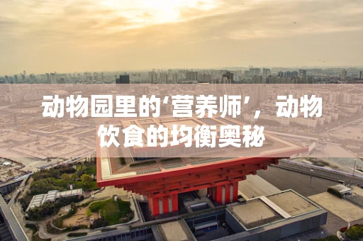 动物园里的‘营养师’，动物饮食的均衡奥秘