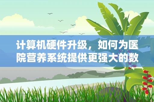 计算机硬件升级，如何为医院营养系统提供更强大的数据处理能力？