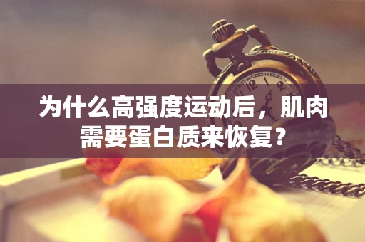 为什么高强度运动后，肌肉需要蛋白质来恢复？