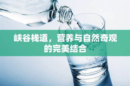 峡谷栈道，营养与自然奇观的完美结合