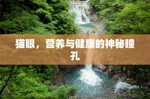 猫眼，营养与健康的神秘瞳孔