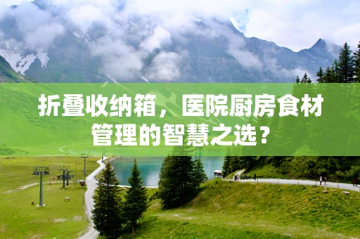 折叠收纳箱，医院厨房食材管理的智慧之选？