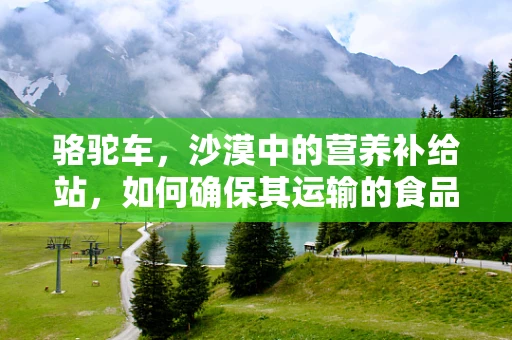 骆驼车，沙漠中的营养补给站，如何确保其运输的食品营养不流失？