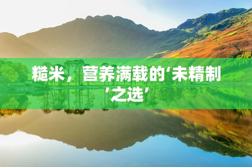 糙米，营养满载的‘未精制’之选’