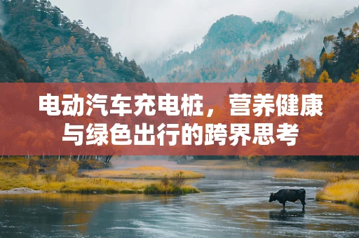 电动汽车充电桩，营养健康与绿色出行的跨界思考