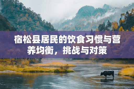 宿松县居民的饮食习惯与营养均衡，挑战与对策