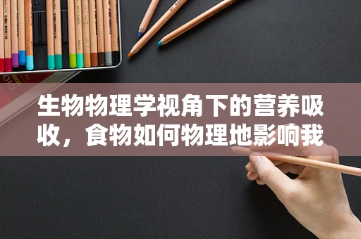 生物物理学视角下的营养吸收，食物如何物理地影响我们的健康？