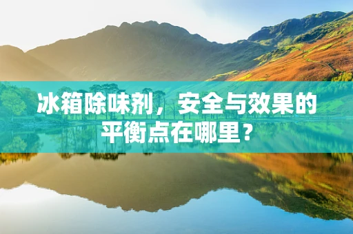 冰箱除味剂，安全与效果的平衡点在哪里？
