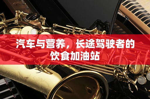 汽车与营养，长途驾驶者的饮食加油站