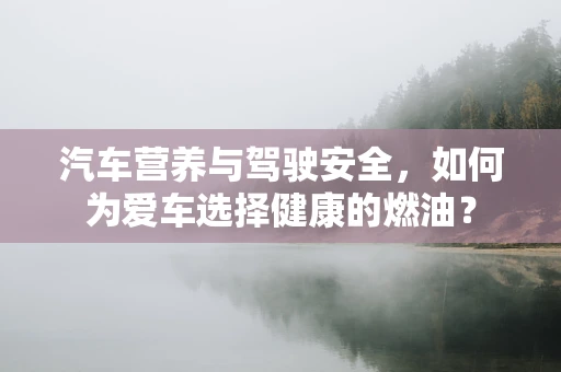 汽车营养与驾驶安全，如何为爱车选择健康的燃油？