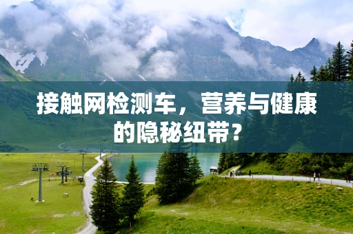 接触网检测车，营养与健康的隐秘纽带？