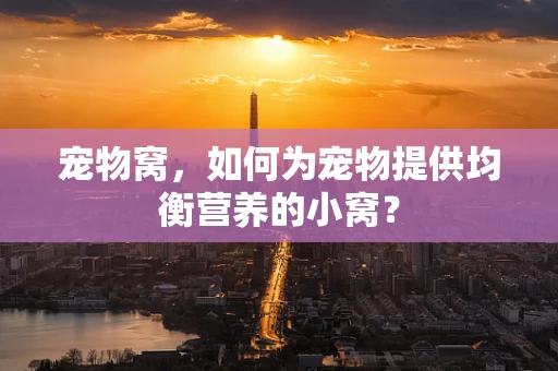 宠物窝，如何为宠物提供均衡营养的小窝？