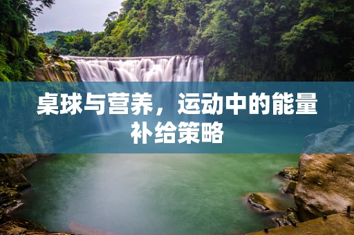 桌球与营养，运动中的能量补给策略