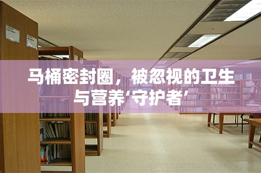马桶密封圈，被忽视的卫生与营养‘守护者’