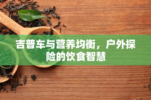 吉普车与营养均衡，户外探险的饮食智慧
