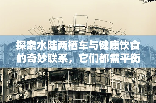 探索水陆两栖车与健康饮食的奇妙联系，它们都需平衡吗？