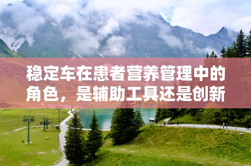 稳定车在患者营养管理中的角色，是辅助工具还是创新策略？