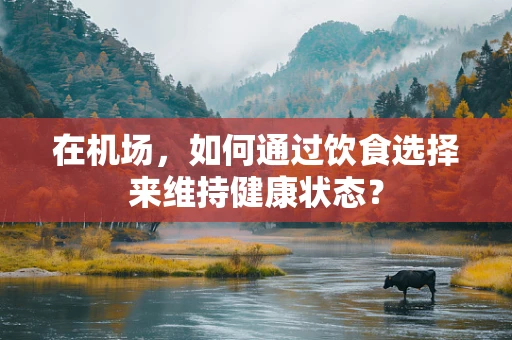 在机场，如何通过饮食选择来维持健康状态？
