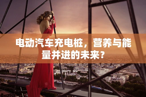 电动汽车充电桩，营养与能量并进的未来？