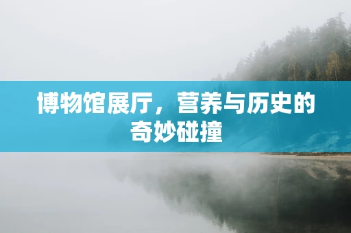 博物馆展厅，营养与历史的奇妙碰撞