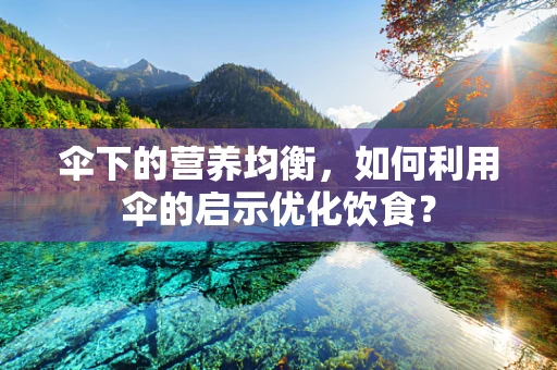 伞下的营养均衡，如何利用伞的启示优化饮食？