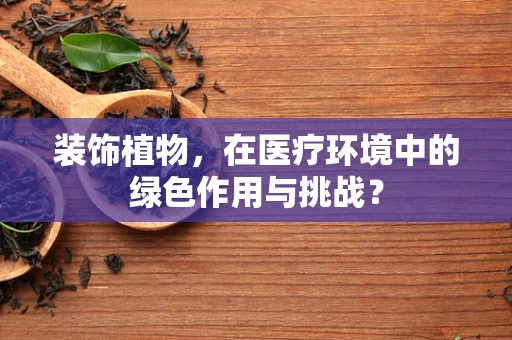 装饰植物，在医疗环境中的绿色作用与挑战？
