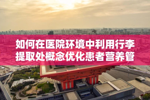 如何在医院环境中利用行李提取处概念优化患者营养管理？