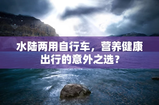 水陆两用自行车，营养健康出行的意外之选？