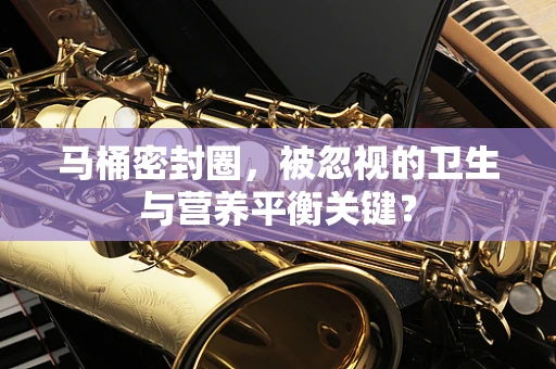 马桶密封圈，被忽视的卫生与营养平衡关键？