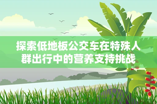探索低地板公交车在特殊人群出行中的营养支持挑战