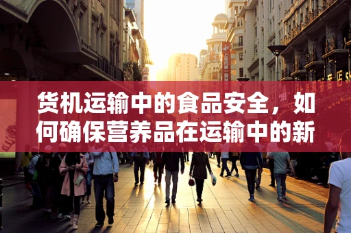 货机运输中的食品安全，如何确保营养品在运输中的新鲜与安全？