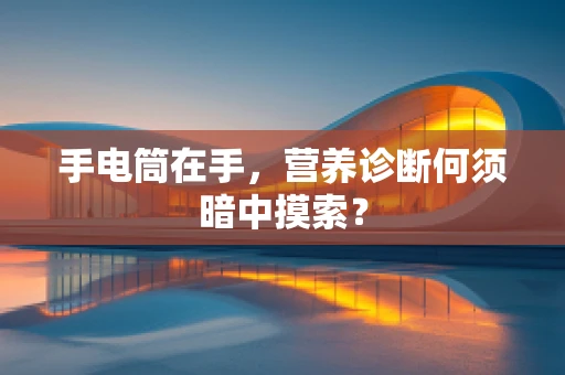 手电筒在手，营养诊断何须暗中摸索？