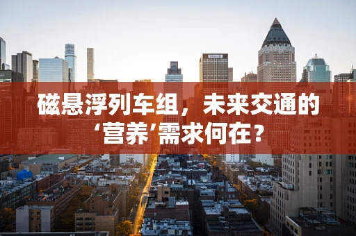 磁悬浮列车组，未来交通的‘营养’需求何在？