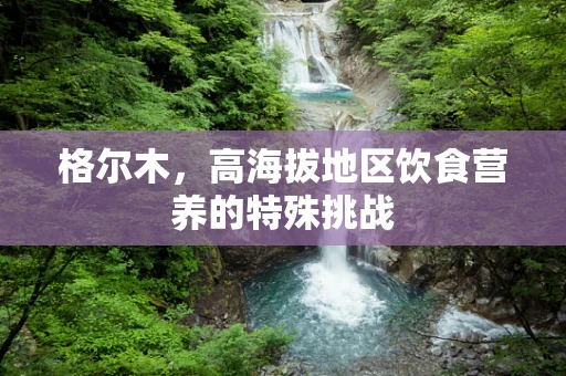 格尔木，高海拔地区饮食营养的特殊挑战