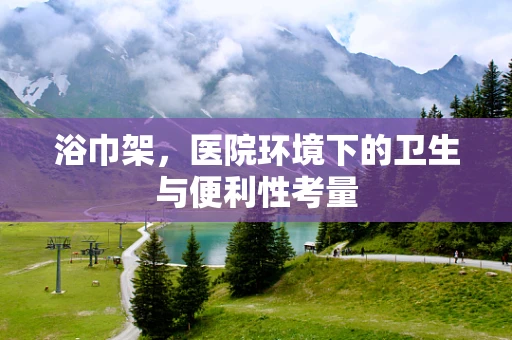 浴巾架，医院环境下的卫生与便利性考量