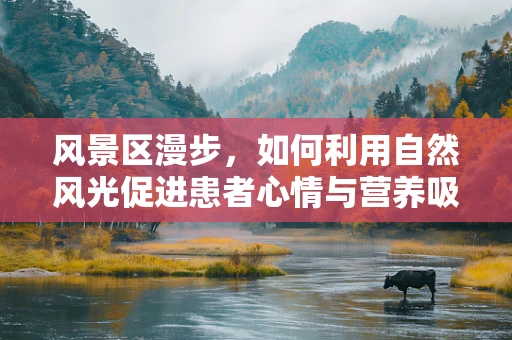 风景区漫步，如何利用自然风光促进患者心情与营养吸收？