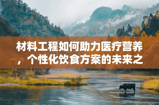 材料工程如何助力医疗营养，个性化饮食方案的未来之路？