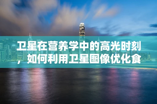 卫星在营养学中的高光时刻，如何利用卫星图像优化食物供应链？