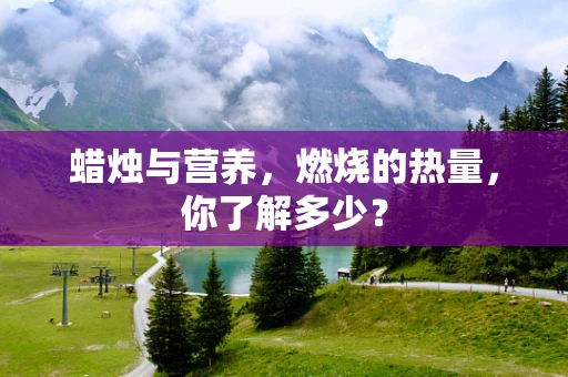 蜡烛与营养，燃烧的热量，你了解多少？