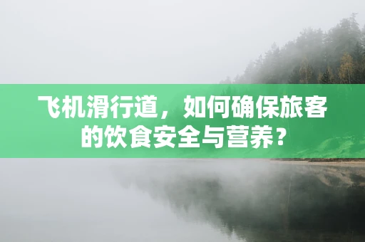 飞机滑行道，如何确保旅客的饮食安全与营养？