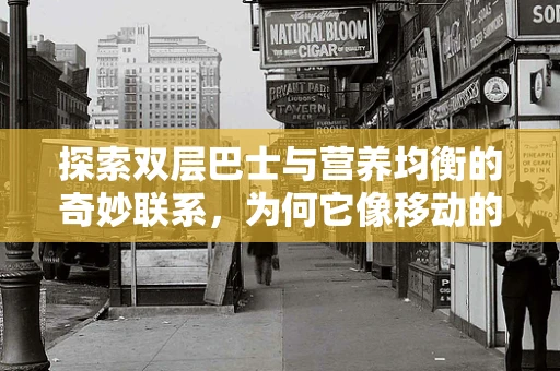 探索双层巴士与营养均衡的奇妙联系，为何它像移动的能量站？