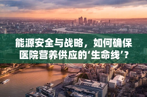 能源安全与战略，如何确保医院营养供应的‘生命线’？