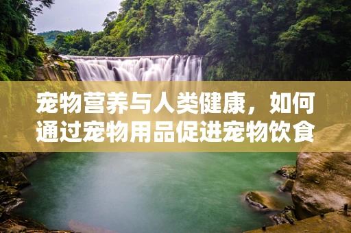 宠物营养与人类健康，如何通过宠物用品促进宠物饮食均衡？