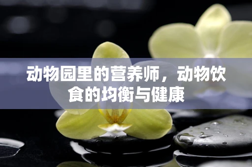 动物园里的营养师，动物饮食的均衡与健康