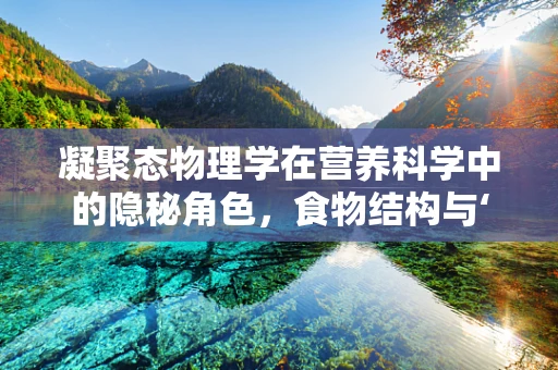凝聚态物理学在营养科学中的隐秘角色，食物结构与‘微观世界’的奇妙联系