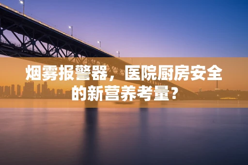 烟雾报警器，医院厨房安全的新营养考量？