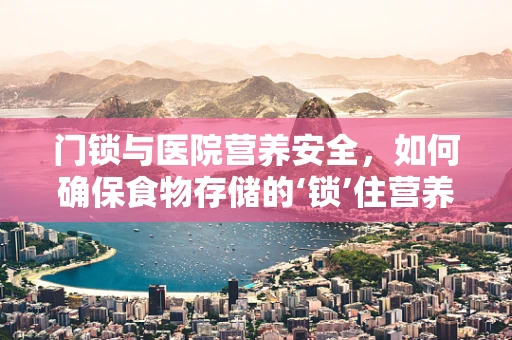 门锁与医院营养安全，如何确保食物存储的‘锁’住营养？