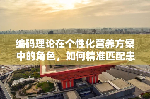 编码理论在个性化营养方案中的角色，如何精准匹配患者需求？