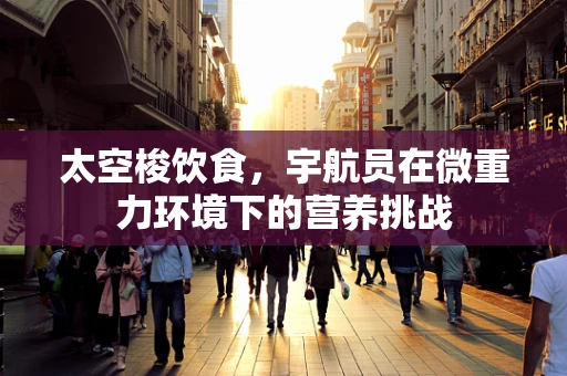 太空梭饮食，宇航员在微重力环境下的营养挑战