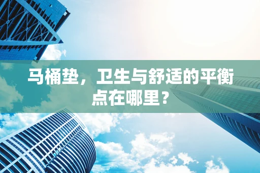 马桶垫，卫生与舒适的平衡点在哪里？
